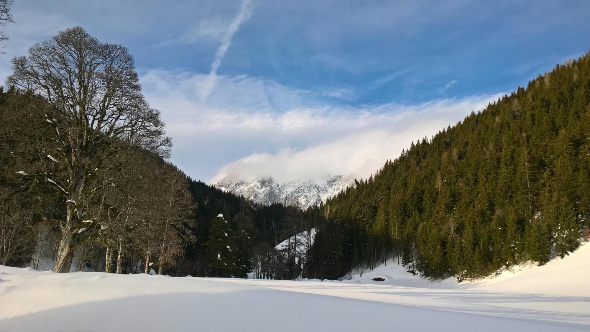Alpenrose Boutique Chalet Gretl Ramsau am Dachstein Εξωτερικό φωτογραφία