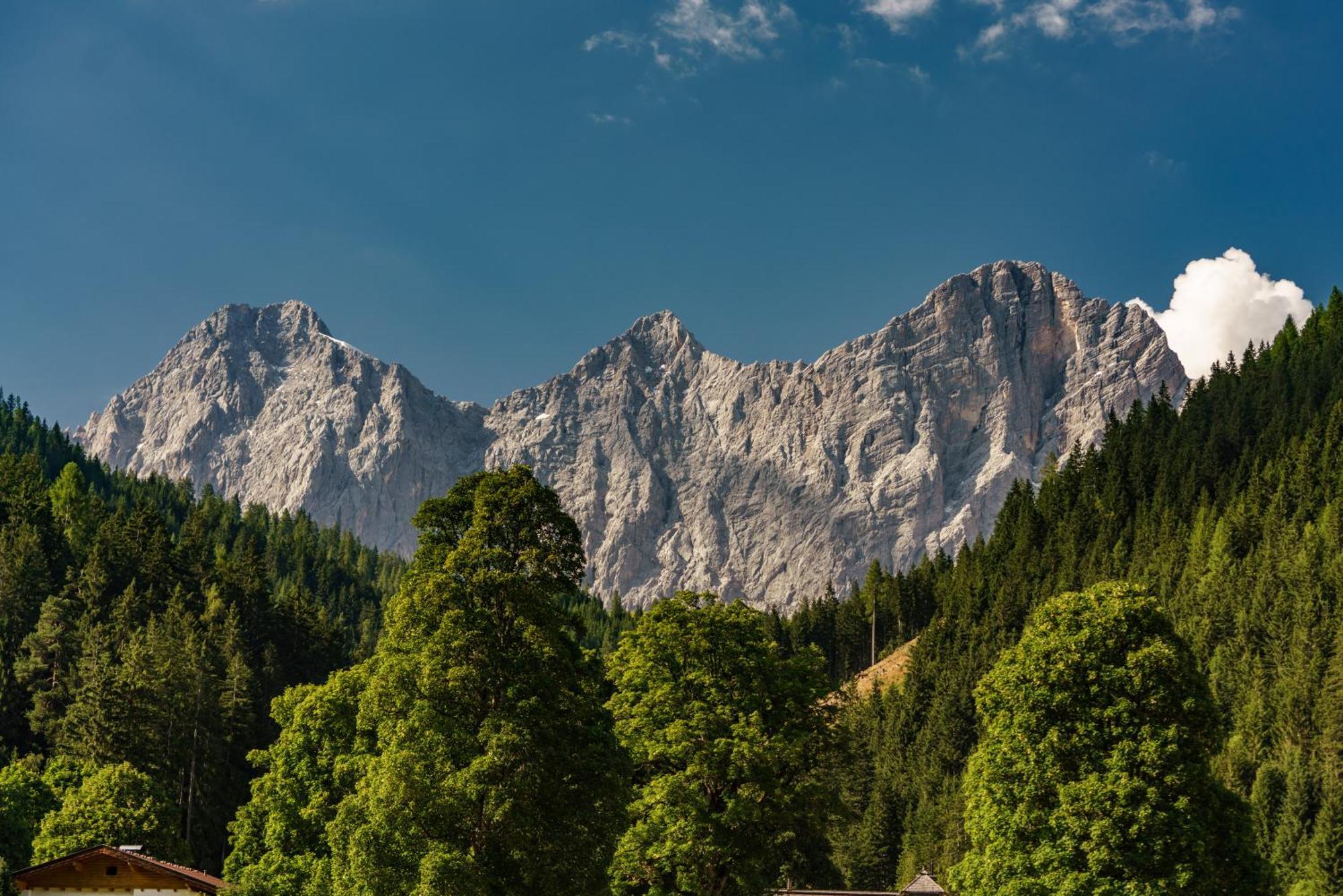 Alpenrose Boutique Chalet Gretl Ramsau am Dachstein Εξωτερικό φωτογραφία
