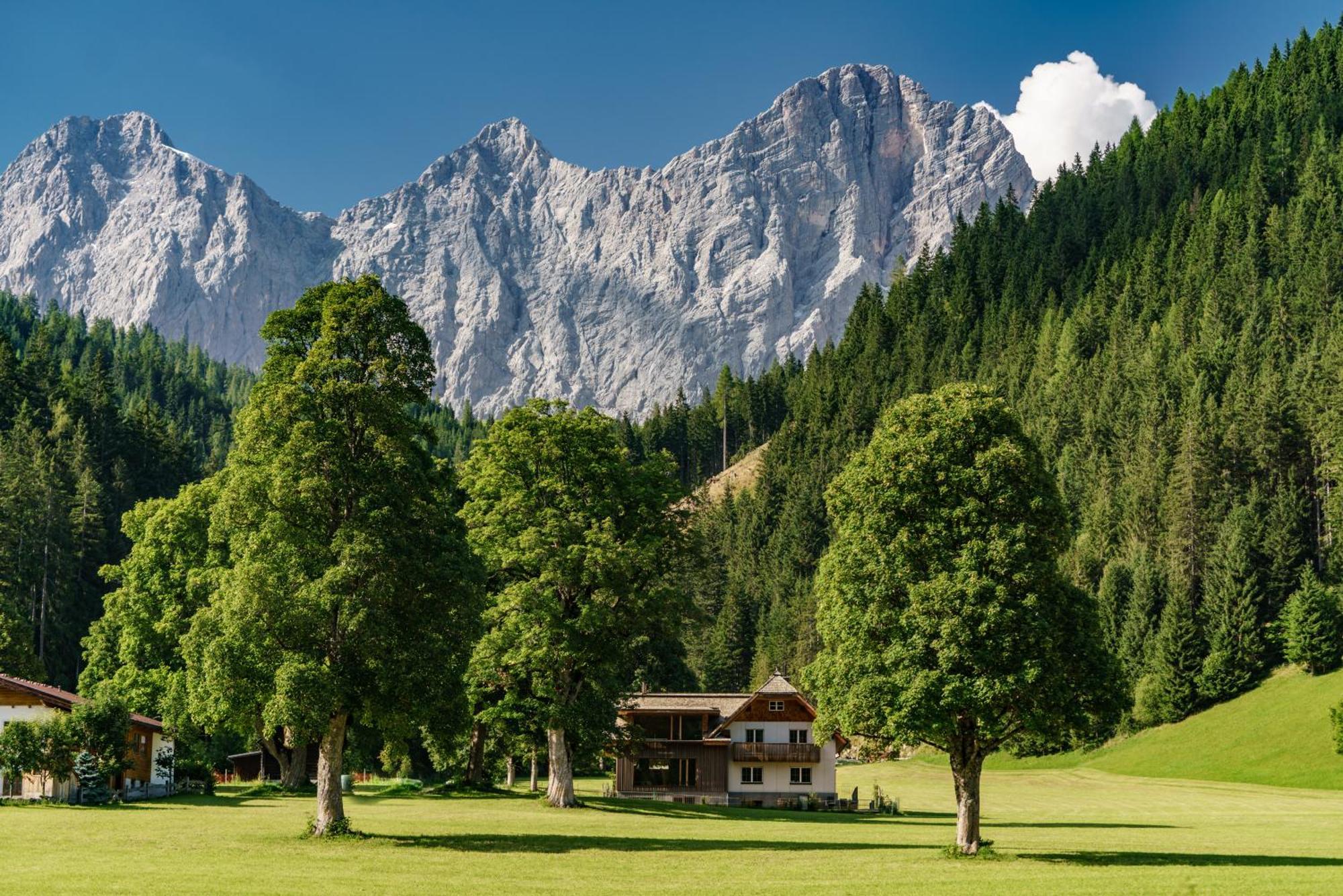 Alpenrose Boutique Chalet Gretl Ramsau am Dachstein Εξωτερικό φωτογραφία